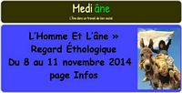 photo_du_site_mediane